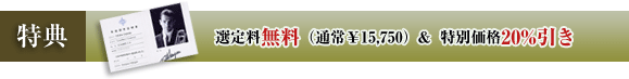 ���T�F�I�藿�����i�ʏ�&yen;15,750�j&  ���ʉ��i20%����