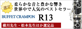 �_�炩�ȉ��ƖL���ȋ��� ���E���Ől�C�̃x�X�g�Z���[�̃x�X�g�Z���[ �N�����|�� R-13