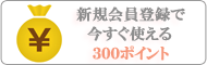 �V�K����o�^�̕���300�|�C���g�v���[���g�I
