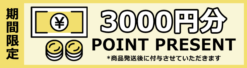 ���[�J�[�n�ƃA�j�o�[�T���[ ���胂�f�����W