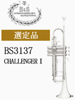 B&S gybg CHALLNGER TP37SP