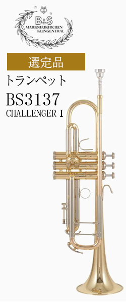 B&S gybg BS3137-1 CHALLNGERTIi