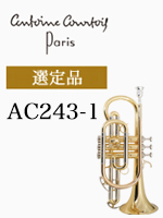 �N���g�� �R���l�b�g AC243-1 �I��i BELLECOUR